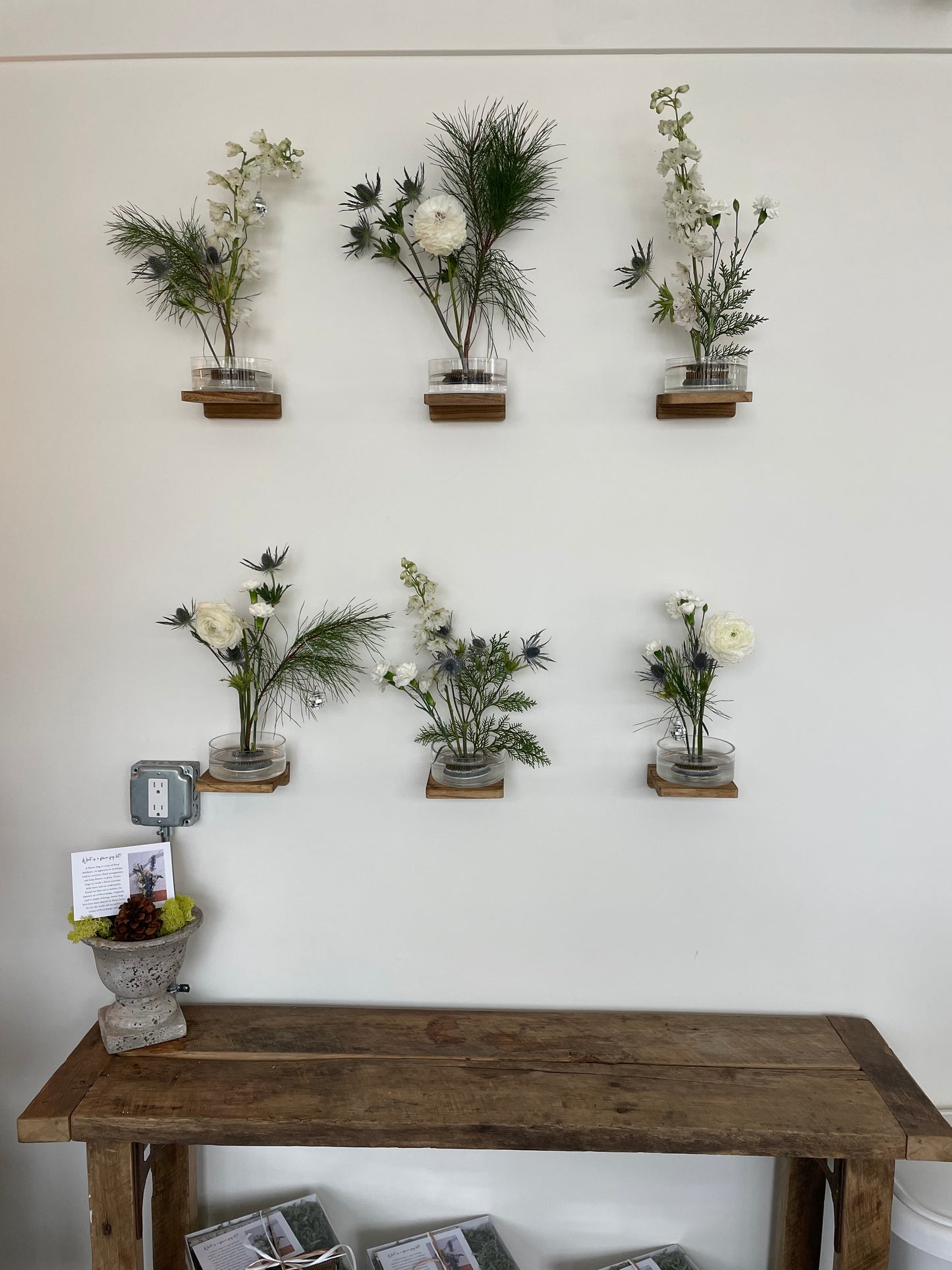 Sweetwater Stems Kit