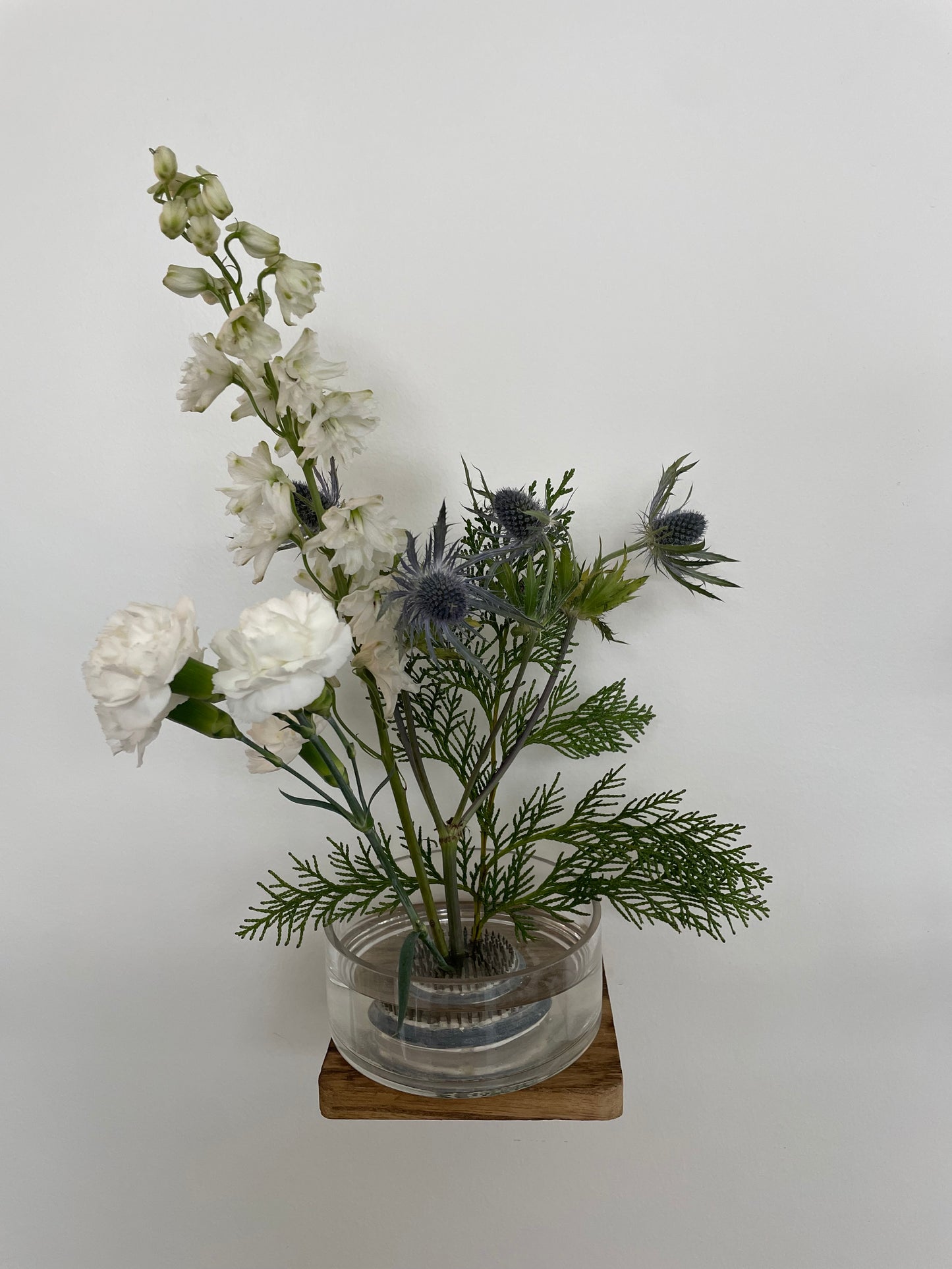 Sweetwater Stems Kit
